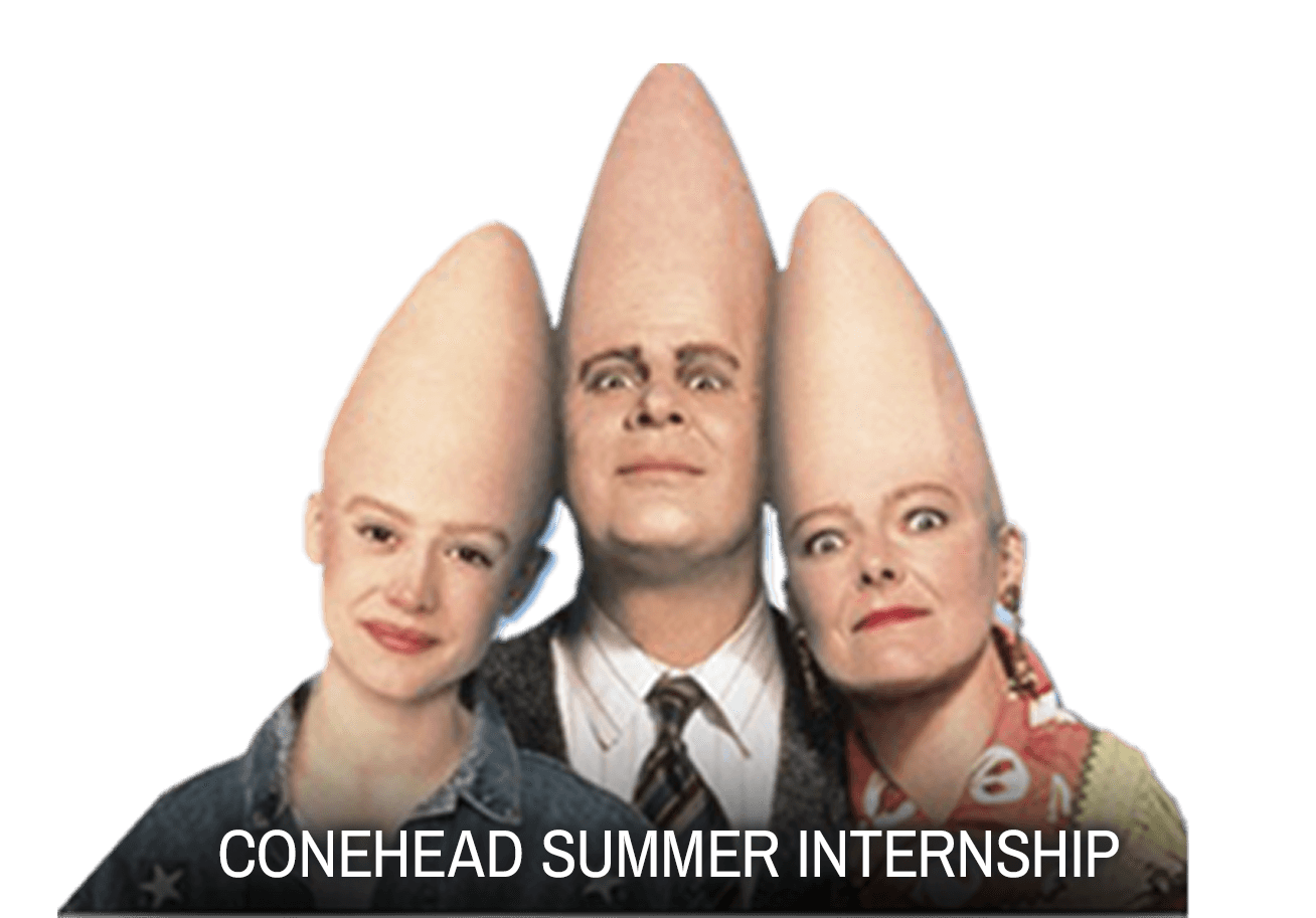 Conehead Summer Internship